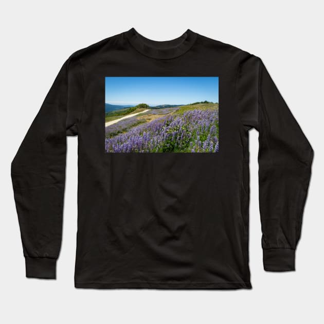 Lupine in the countryside Long Sleeve T-Shirt by blossomcophoto